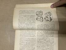 季刊どるめん創刊号1973年特集/縄文列島　縄文人のお産　縄文人の漁撈生活　日光山における山の神信仰ほか_画像5