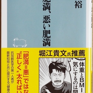 ★送料無料★ 『いい肥満、悪い肥満』 伊藤裕　健康長寿のために メタボリックドミノ 抗加齢医学 〝正しく〟太る　★同梱ＯＫ★