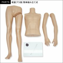 メンズマネキン ヘッドレスタイプ【肌色2】マッチョボディー 軽量 男性マネキン/21Ξ_画像7