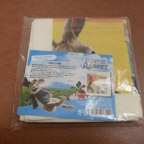 C5『PETERPABBIT(ピーターラビット)ハンドタオル~34cm角』