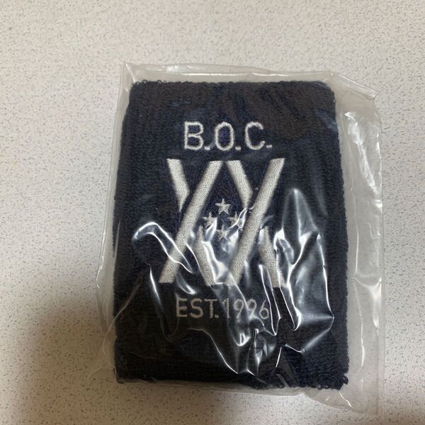 BUMP OF CHICKEN リストバンド ライブ LIVE BUMPOFCHICKEN BOC XX 20周年 グッズ