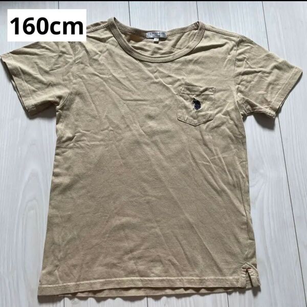 160cm ベージュ 半袖 Tシャツ