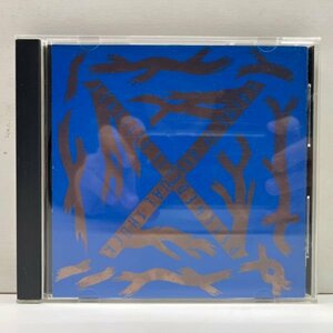 X Blue Blood ('89 CBS・Sony) 国内 良好品 CD
