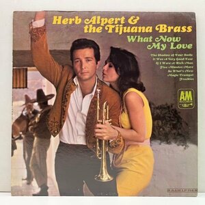 MONO 初版 Rマーク無し USオリジナル HERB ALPERT & THE TIJUANA BRASS What Now My Love ('66 A&M) バンド最大のヒット作品！米モノラル