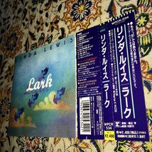 リンダ・ルイス/ラーク/フォーキー&メロウ/フリー・ソウル/LINDA LEWIS/LARK/ジム・クリーガン/リプリーズ/名盤1972年_画像2