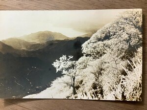 FF-4636 ■送料無料■ 長崎県 雲仙岳 霧氷 門司鉄道局発行 九州 風景 景色 雲仙嶽 登山 山 自然 戦前 風景 絵葉書 写真 古写真/くNAら