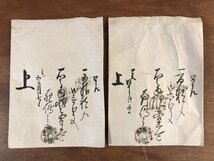 LL-5506 ■送料込■ 神仙 一角丸 明治期 薬品 パッケージ 説明書 まとめて 和書 古書 古文書 摺物 /くJYら_画像6