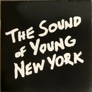 2LP The Sound Of Young New York / PLANT 5430-1 / 2003年 / US / シンセポップ