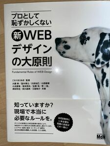 プロとして恥ずかしくない新ＷＥＢデザインの大原則 （プロとして恥ずかしくない）