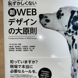 プロとして恥ずかしくない新WEBデザインの大原則 (プロとして恥ずかしくない)