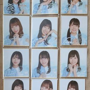 日向坂46 小坂菜緒 佐々木久美 河田陽菜 影山優佳 高本彩花 富田鈴花 潮紗理菜 森本茉莉 高橋未来虹 ローソン 色紙 12枚