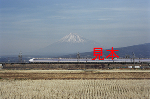 鉄道写真、35ミリネガデータ、113896500015、JR東海道新幹線、0系、JR東海道本線、三島～新富士、1999.03.04、（3104×2058）