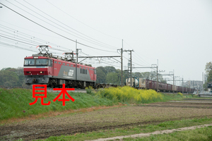 鉄道写真データ（JPEG）、00060594、EH500-901＋貨物、JR東北本線、蓮田〜東大宮、2013.04.17、（7360×4912）