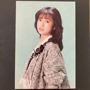 中森明菜 フォトパネル 木製 ポスター