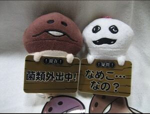 *...... nameko cultivation kit Mini message mascot 2 kind set ma monkey / nameko 