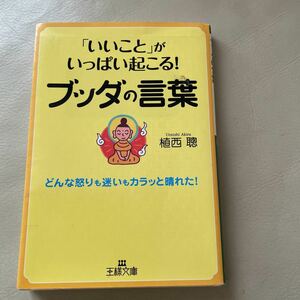 「いいこと」がいっぱい起こる！ブッダの言葉 （王様文庫　Ｂ７１－７） 植西聰／著