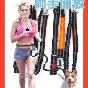 犬 リード ハンズフリーリードセット ウエストリード 腰ベルト 伸縮 調節可能