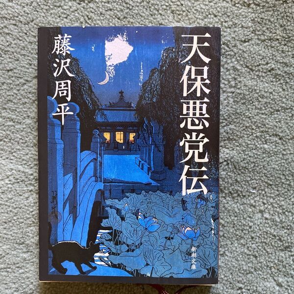 天保悪党伝 (新潮文庫) 藤沢周平/著
