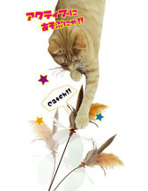 カシャカシャハンター ビョーン 猫じゃらし ねこ 猫 ネコ 猫専用 猫用 おもちゃ キャット ペッツルート_画像5