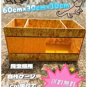 爬虫類ケージ　60×30×30 送料込み　小動物　レオパ　フトアゴ