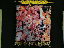 CARCASS Reek Of Putrefaction カーカス napalm death terrorizer brutal truth anal cunt repulsion exhumed earache_画像3