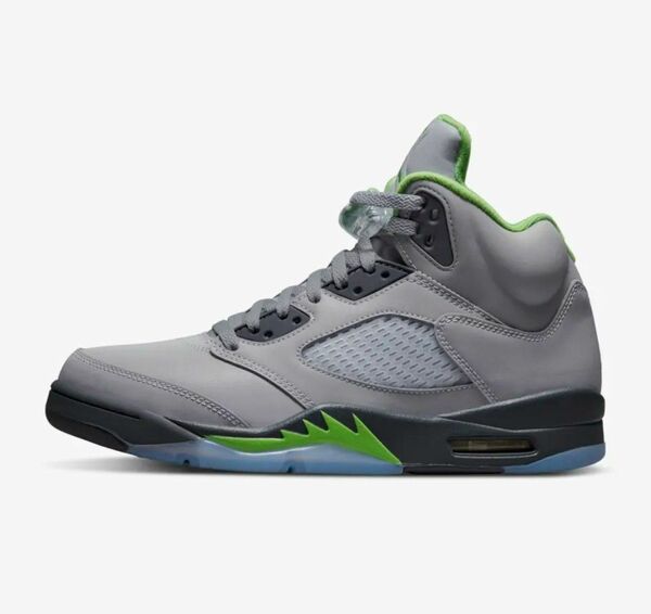 NIKE AIR JORDAN 5 RETRO DM9014 003 銀×緑 26.5cm green been エアジョーダン５