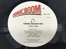 CG581 Congo Ashanti Roy / Level Vibes SBLP 2001 【LP レコード】 613_画像6