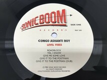 CG581 Congo Ashanti Roy / Level Vibes SBLP 2001 【LP レコード】 613_画像5