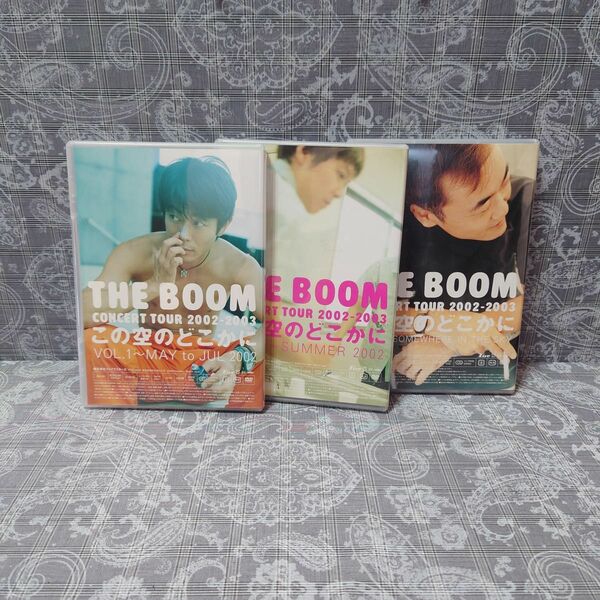 THE BOOM CONCERT DVDこの空のどこかに 