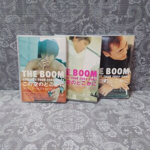 THE BOOM CONCERT DVDこの空のどこかに