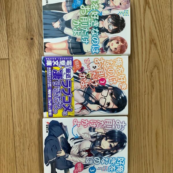 書籍　俺を好きなのはお前だけかよ　著者　駱駝