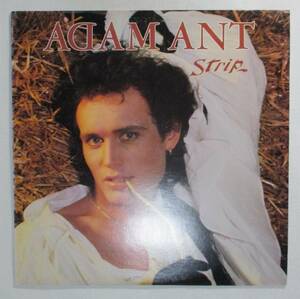 アダム・アント　ストリップ　Adam Ant　Strip　LP　レコード　国内盤　ジャングルビート　ニューロマンティック　マルコム・マクラーレン