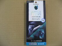 NIPPONGLASS iPhone 11/XR 6.1インチ用 ダブル強化ゴリラガラス 光沢 TG-IP19M-GL-WGOCC iPhone用保護フィルム 4582269508542_画像1