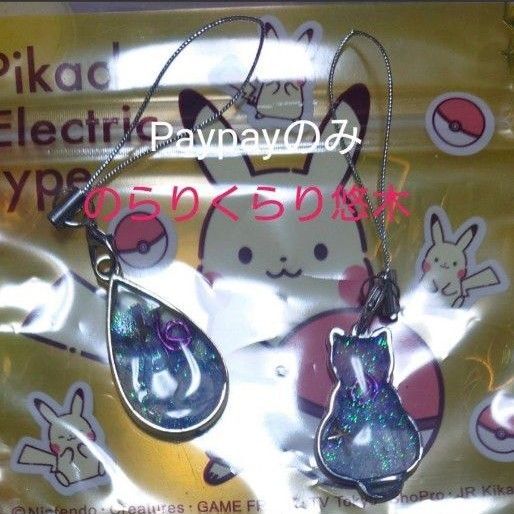 ②New!Paypayのみ☆オルゴナイト2点セット販売