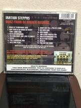 IRATION STEPPAS - DUBZ FROM DE HIGHER REGIONZ ニュールーツ new roots dub ダブ_画像2