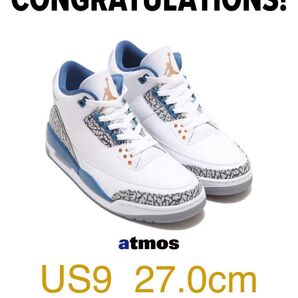 Air Jordan 3 Retro "True Blue and Copper”