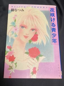 花咲ける青少年全巻（6巻）