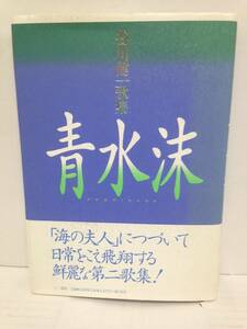 青水沫　AWOMINAWA　谷川健一歌集　1994年7月15日発行　三一書房