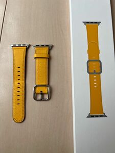 Apple Watch 38/40mm サンフラワークラシックバックル