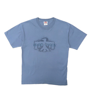 古着 USA製 プリントTシャツ ブルーグレー ビンテージ サイズ表記：L　gd81509