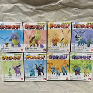 ポケモンスケールワールド　ブイズ　箱未開封　進化セット