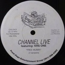 CHANNEL LIVE Featuring KRS ONE / FREE MUMIA_画像2