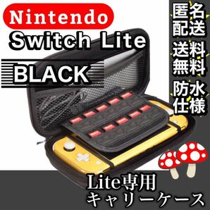 激安！破格！最安値！任天堂！SwitchLite！持ち運びハードケース&48