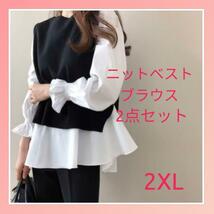 ニット付き ストライプブラウス 2XL 2点セット カジュアル 体型カバー　送料無料_画像1