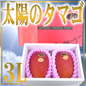 （予約）限定1箱！宮崎産【太陽のタマゴ】特大3L 2個入 今年もやります！！！！