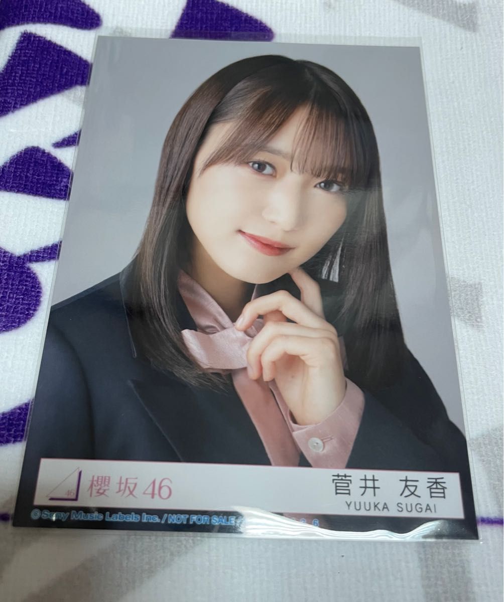 菅井友香 ランダム生写真 フルコンプリート|PayPayフリマ