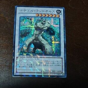 遊戯王　ナチュル・ランドオルス　DTC3　シークレットレア