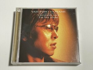 2枚組CD 山根康広『CRIMSON SKY / I'm Not Alone』ファンクラブ限定盤