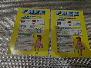  Sega free kick original instrument card 2 sheets 