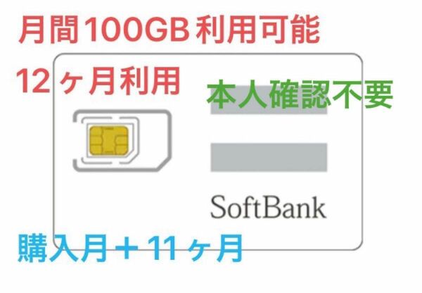 SoftbankデータSim 2023年9月〜2024年9月まで